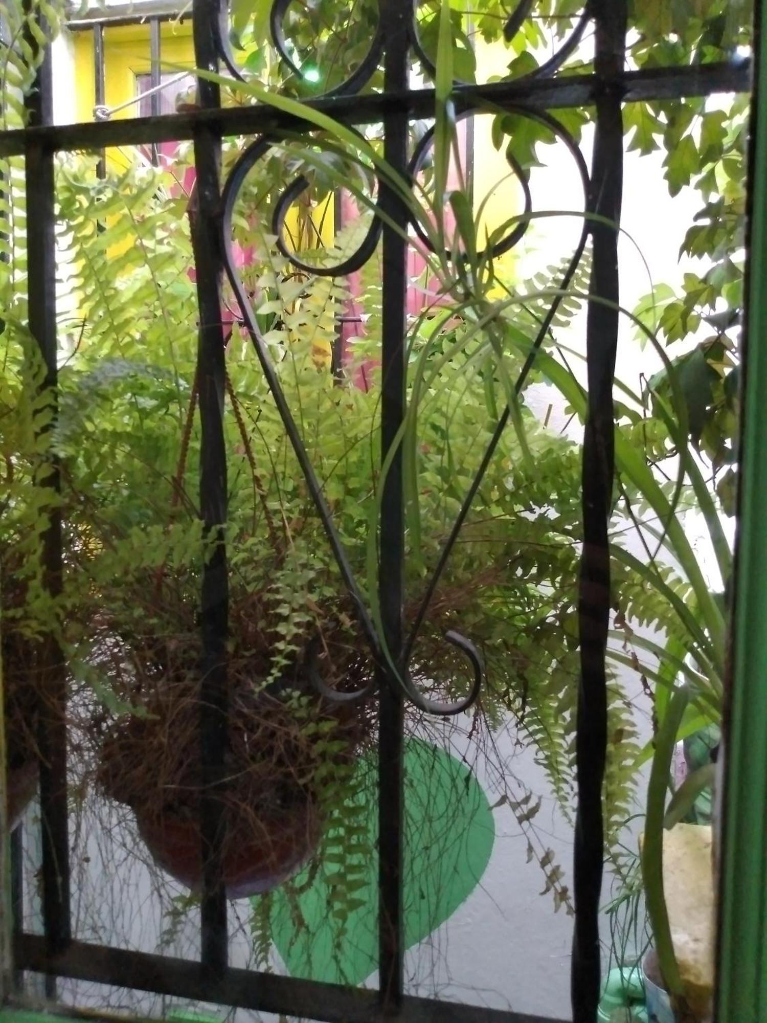 Hostal Green House - Buenos Aires — Photos 3